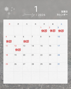 モノトーン　シンプル　営業日　予約状況　カレンダー　2025年 12月　2026年　Instagram投稿 (1)